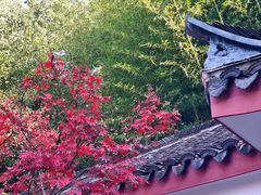 -包公祠