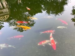 -青岛鑫江温德姆酒店