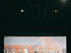 -万达影城(东城万达广场IMAX店)