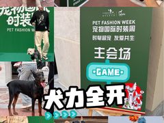 -京津佛罗伦萨小镇