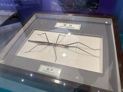 -上海昆虫博物馆