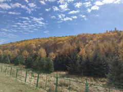 -塞罕坝国家级自然保护区