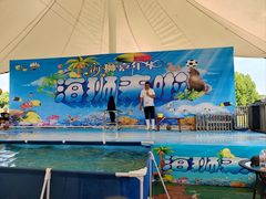 -洪湖湿地生态园
