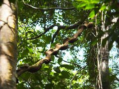 -七仙岭温泉国家森林公园