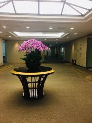 点击看大图 -北京明德医院