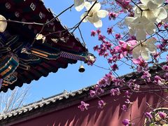 -西安市广仁寺