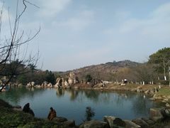 -白马涧龙池景区