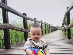 -西青郊野公园