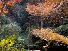 -中国茶叶博物馆(双峰馆区)