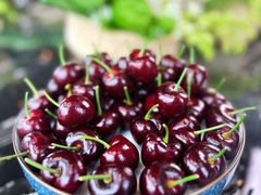 -大连君悦酒店·星海湾壹号Dalian·Dalian(星海广场店)