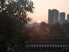 -福道