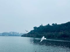 -六月雪干锅(绵阳凯德广场店)