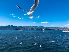 -海埂大坝