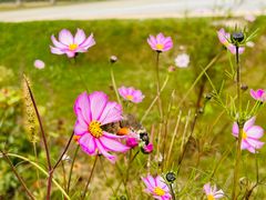 -汉长安城未央宫国家考古遗址公园