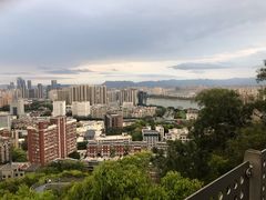 -福道