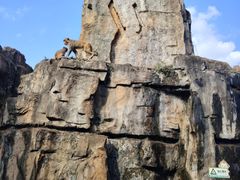 -海南热带野生动植物园
