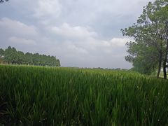 -嘉北郊野公园