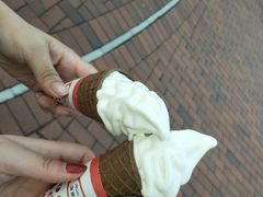 -富豪雪糕车流动点(尖沙咀店)