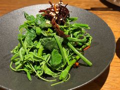 鸡枞菌豌豆尖-清水亭湖北菜(大屯DT51店)