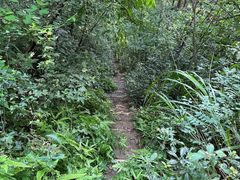 -会稽山峡洞漂流-上青古道