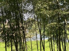 -良渚古城遗址公园