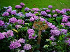 -常州古运河南大街文化旅游区-人民公园