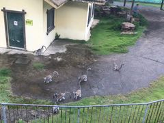 -无锡动物园·太湖欢乐园