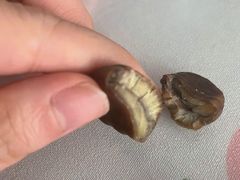 -金栗王(清扬路店)