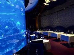 -迪拜帆船酒店海底餐厅