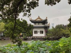 -江心屿景区