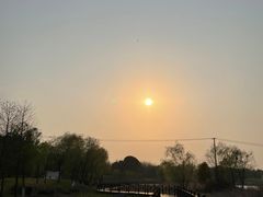 -贡湖湾湿地公园