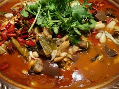 -沪小二炭火蛙锅(淮海中路美食不夜城店)