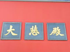 -天津大悲禅院