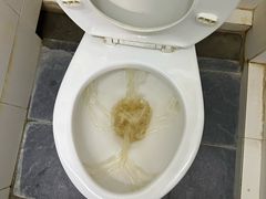 -巴哥国家公园