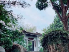 -同庆堂(解放北路店)