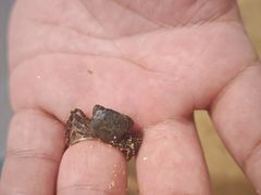 -青岛第一海水浴场