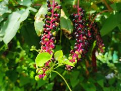 -会稽山峡洞漂流-上青古道