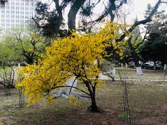 -辽宁大学(崇山校区)