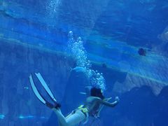 -华夏文旅海洋公园