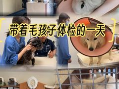 -泰洋动物医院·神经专科·磁共振·CT(天河公园总院)