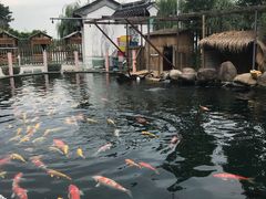 -湖鲜楼