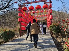 -崂山仰口游览区
