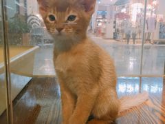 -乐宠宠物店(世纪金源店)