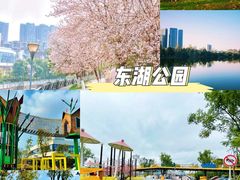 -两河城市森林公园