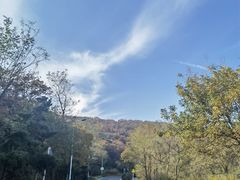 -棒棰岛宾馆景区