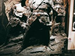 -中国人民抗日战争纪念馆