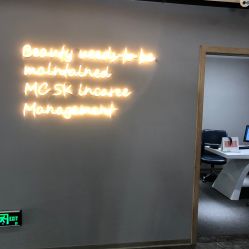 -MC皮肤管理中心