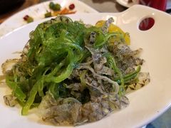 鱼皮拌海藻-樟树底(胜利河美食街店)