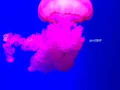 -南昌融创海世界