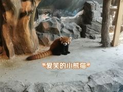 -绿色星球动物主题公园